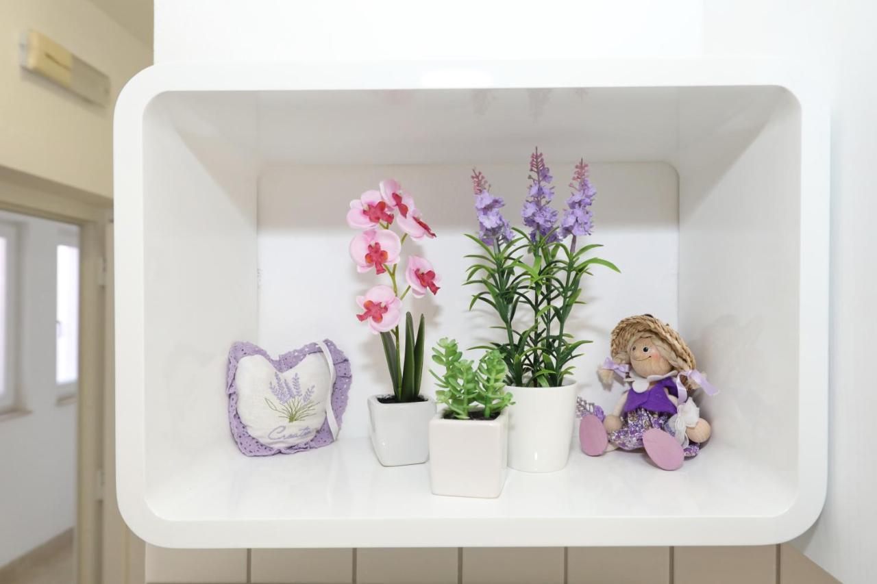 Lavanda Apartments 斯维蒂佩塔 外观 照片